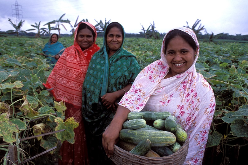العالم يحتفل باليوم الدولي للمرأة الريفية 
