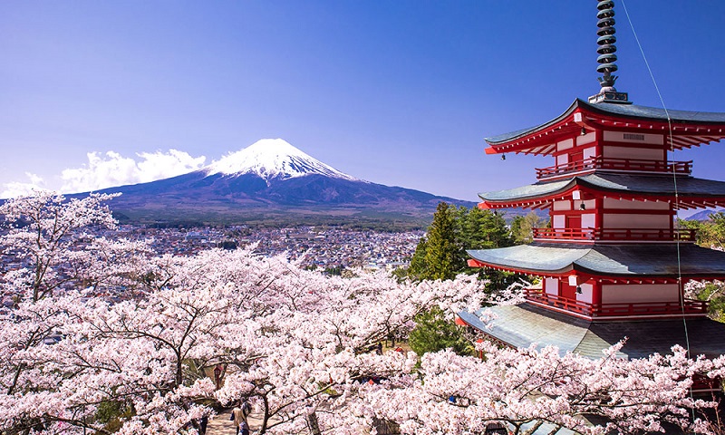 18 سبب يدفعونك لزيارة اليابان
