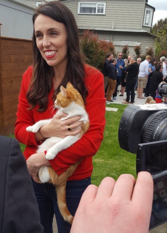 مقتل ”القطة الأولى” في نيوزيلندا.. ورئيسة الوزراء تنعيها