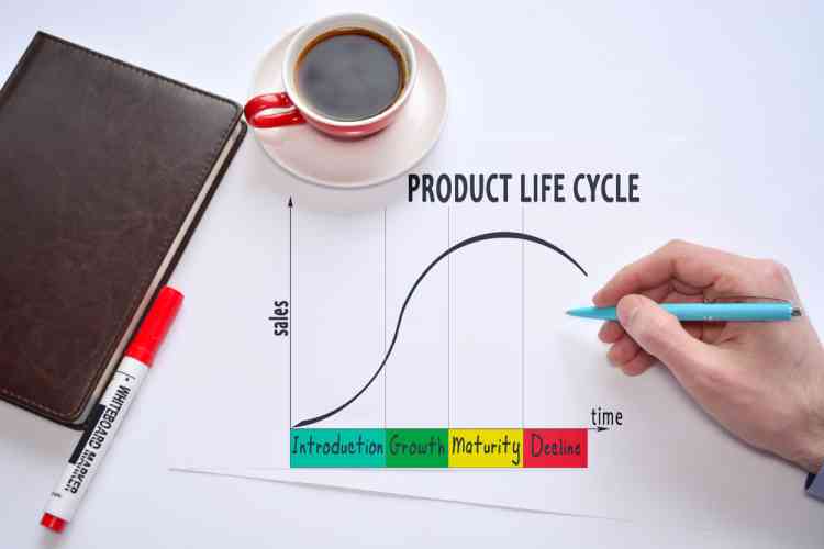دورة حياة المنتج وأهمية كل مرحلة