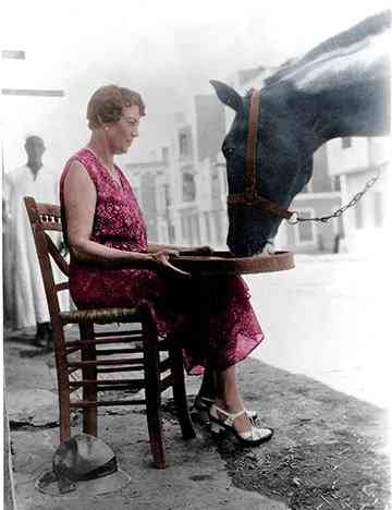 دوروثي بروك الإنجليزية التي أنقذت الخيول في مصر