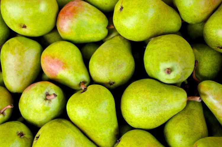 فوائد الكمثرى فاكهة الخريف الغنية بالعناصر الغذائية
